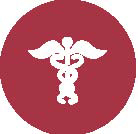 medical emblem 